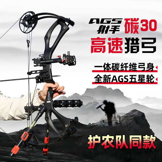 A Great ShooterAGS Shooter Carbon 30 Compound Bow and Arrow High Precision Archery Adult Hunting Non-Carbon Machsius PSE Archery Bow Black Gold Carbon 30-Glory Typhoon Set
