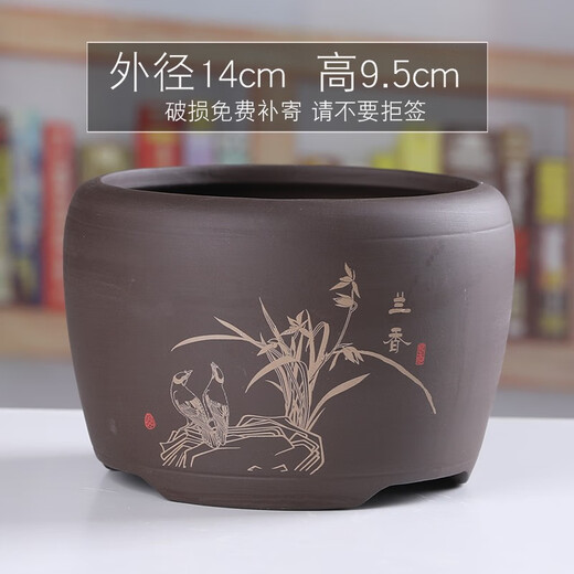 Yuxuantang purple sand flowerpot ceramic household classical Phalaenopsis orchid green dill breathable potted asparagus and calamus succulent small and medium size YY purple sand 1342 (welcoming pine) red