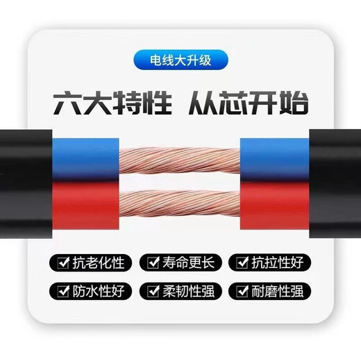 Fil de câble standard national gaine de fil souple domestique 2/3 noyau 1,5 2,5 4 6 mètres carrés cordon d'alimentation triphasé extérieur cuir blanc - norme nationale 3 noyaux 2,5 mètres carrés 3500 watts 10 mètres avec prise de courant ruban stylo électrique