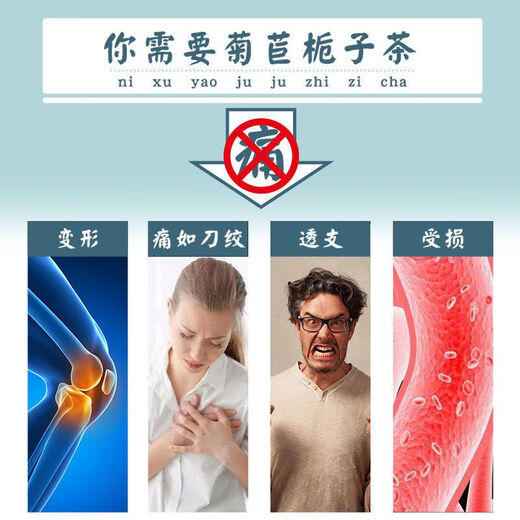 通用菊苣栀子片黄太阳菊苣栀子茶葛根桑叶茯苓茶青钱柳组合真材实料养 1罐 1mg 原料装60包【巩固装】中医推荐送杯