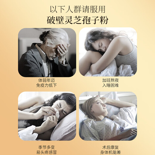 Fudonghai Ganoderma Lucidum Spore Pulver 200g postoperative Ernährungsverstärkung Tonic Tonic für Mid-Autumn Festival Gift Box
