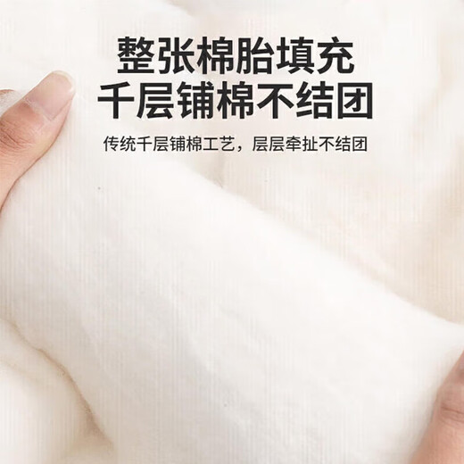 雅鹿·自由自在 100%新疆棉花春秋冬季被子被芯4斤150*200cm格韵蓝