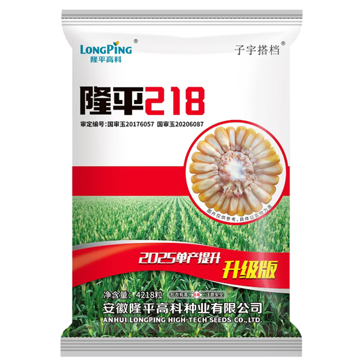 Brawny Five Purple and Eight Resistant Corn Seeds Complete Collection of Academy of Agricultural Sciences Authentic National Approval Low Stems Lodging Resistant Big Sticks Resistant to Diseases and Insects Braised Grains 5A Purified Upgraded Approximately 4201 Grains