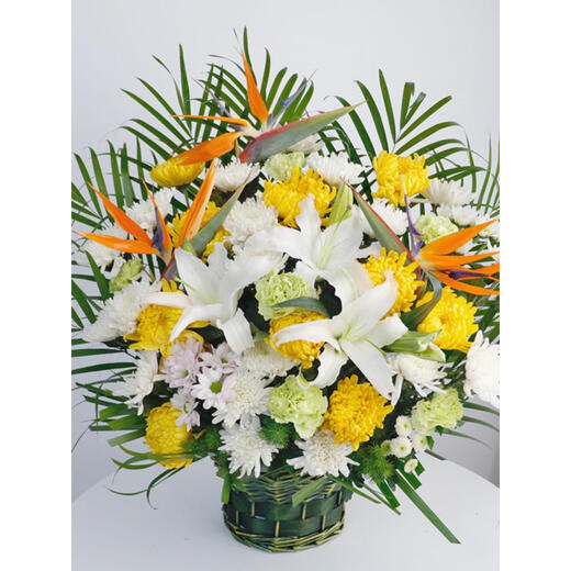 Congshu Xiaobaihua Tomb Sweeping Tomb Sweeping Festival Tomb Sweeping Ceremony Memorial Chrysanthemum White Chrysanthemum Flower Bouquet Tombstone Franchise Chrysanthemum and Peony Basket
