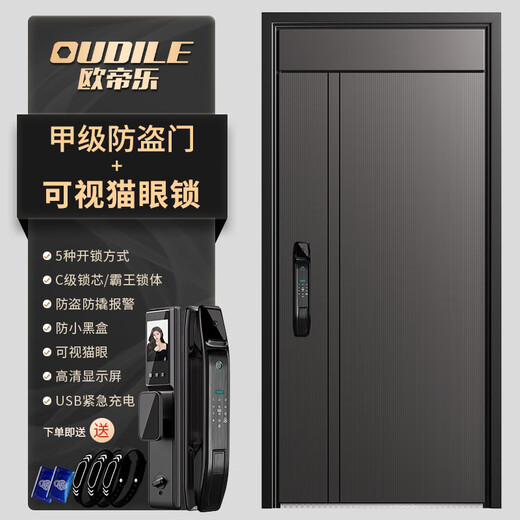 欧帝乐（OUDILE）加高甲级防盗门入户门鎏金+2050*1050/2150*960+可视猫眼锁