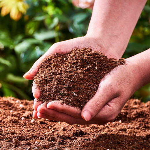 Manlife 16L imported bougainvillea special nutritional soil flower soil gardening vegetable soil planting soil flower organic soil green planting soil