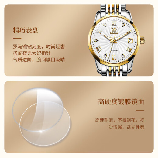 欧利时（OLEVS）瑞士认证品牌手表女士夜光防水全自动机械表简约气质轻奢女式腕表 欧利时-6630女-钢带间白