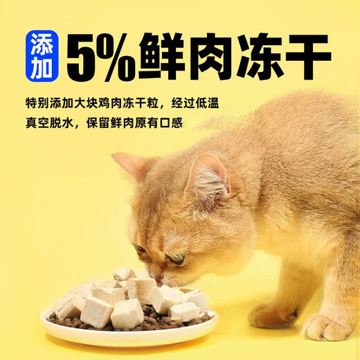 Benefi Precio completo Alimento de gato liofilizado, gatos adultos sin granos, nutrición a doble compilación, tipo general a término, receta de carne de res y cordero 1.8 kg