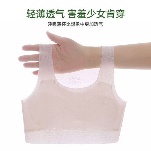 Yu Zhaolin (Yuzhaolin) Filles de développement des filles de 2 pièces de 2 pièces de 9 à 12 ans