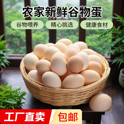 Cereal fresh eggs Farmer free-range fresh eggs 50g single 5 12 pieces (50g/piece)