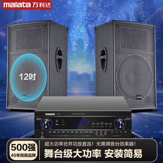 Wanlida outdoor audio set small and medium-sized performance stage wedding full-frequency high-power KTV bar speaker equipment 12-inch audio set + amplifier