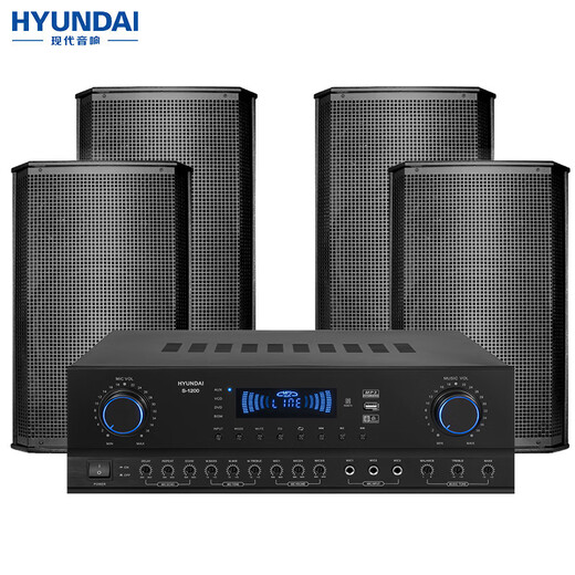 Hyundai Moderner BK8 Professioneller kleiner und mittlerer Konferenzraum Audio-Set Wall-montierter Lautsprecher Bluetooth-Verstärker Wireless Mikrofonkombination Unterricht Trainingspeicher Audiosystemausrüstung [vier Audio/No Microfon] Audio-Set (100-200 Quadratmeter) (100-200 Quadratmeter)