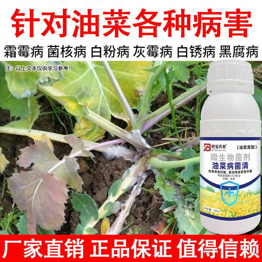 Special medicine for rapeseed sclerotinia downy mildew damping-off root rot, rapeseed pathogen clear rapeseed disease special medicine 100ml 5 bottles