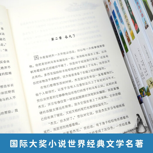 纽伯瑞儿童文学奖银奖文学系列 第二辑全9册国际大奖小说世界经典文学名著青少年课外阅读儿童文学书目1428**05[美]安妮*帕里希，等南方出版社