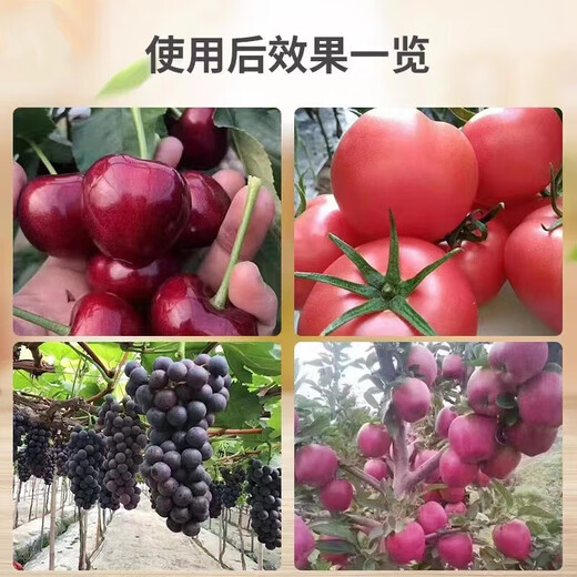 Azúcar alcohol calcio magnesio boro zinc hierro fertilizante foliar fertilizante de oligoelementos fertilizante soluble en agua árbol frutal fresa cítricos