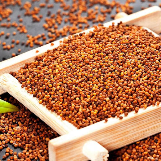 Liyuntang North Schisandra Chinensis Medicina de hierbas chinas Schisandra Chinensis Cuscuta Té Gránulos de vino empapado 1 Can Schisandra Chinensis 250G