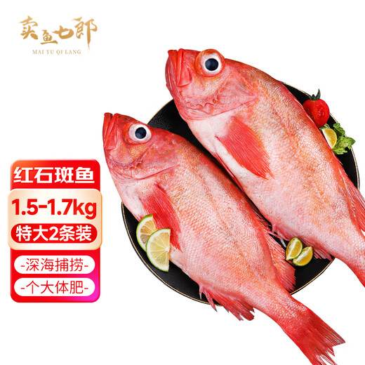 Selling fish Qilang red grouper net weight 3.2 Jin Jin equals 0.5 kilogram -3.4 Jin Jin equals 0.5 kilogram, a total of 2 sea-caught fresh frozen bigeye, whole rich fish