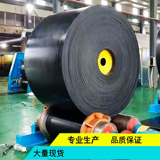 Ben Xinnong customized production polyester conveyor belt 1000 wear-resistant nylon pattern conveyor belt conveyor belt nylon belt 600*5 (3+1.5)/meter