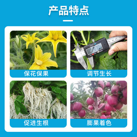 Schmet 0.01% brassinolide rooting and strengthening seedlings, preserving flowers and fruits, relieving phytotoxicity, plant growth regulator, brassinolide 1 liter * 1 bottle