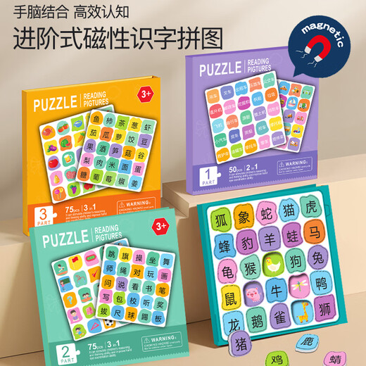 Miaowa Children's Magnetic Literacy Puzzle Enfil's Early Education Magnetic Baby's Picture Lire et reconnaître les livres magnétiques Toys pour une reconnaissance magnétique de 3 à 6 ans [Noms Niveau 1] Un total de 50 images