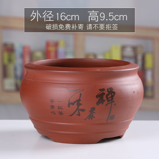 Yuxuantang purple sand flowerpot ceramic household classical Phalaenopsis orchid green dill breathable potted asparagus and calamus succulent small and medium size YY purple sand 1342 (welcoming pine) red