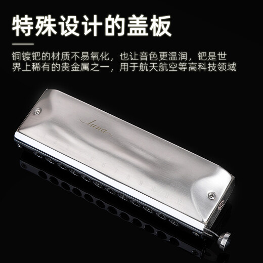 Gardry (JDR) Mondlicht Design Japaner importierter Ring Luna Luna Advanced Professional Performance 12-Loch-Chronik Harmonische 12-Loch-Grau-Bürstbedeckung