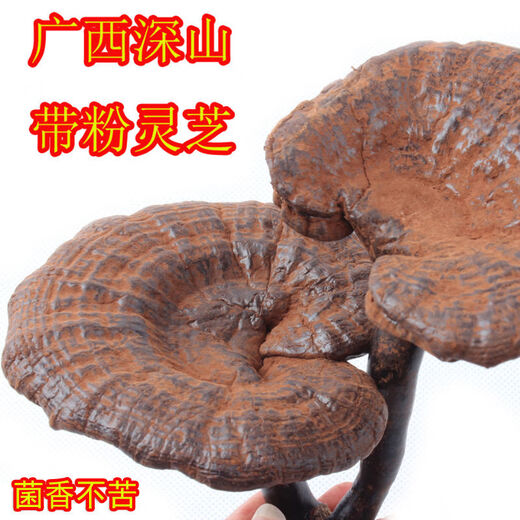 健颐年胖东来品质野生黑灵芝500克 广西十万大山整枝灵芝含孢子粉煲汤 250克