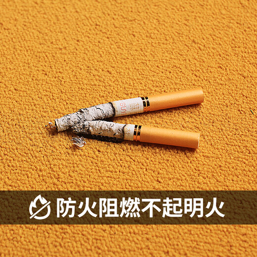 步履海马地毯方块拼接尼龙pvc办公室地毯现代风格简约时尚商用写字楼 Q753 50*50CM