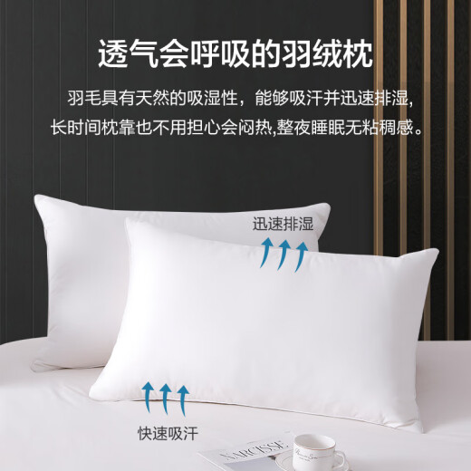 Jiabai Pillow Pillow Core Down Pillow High Elasticity Soft Goose Feather Pillow Core Five Star Hotel Adult Pillow Core Standard Type-Single Pack