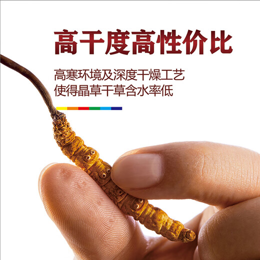 晶草冬虫夏草2.5根/g20g约50根母亲节礼物实用大规格虫草王老人生日礼