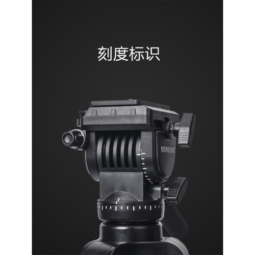 Yunteng (Yunteng) VT-8008 Upgrade Version 998 Micro-Film Professional Large Stative Gimbal SGR-Kamera Tripod 880 Stativ (Metall-Vertikaler Schuss Quick-Loading-Platte)