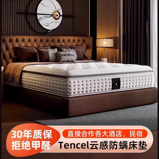 楴梵希尔顿五星级酒店乳胶床垫超软席梦思独立弹簧床垫 基础客房款约20cm厚【适中睡感】 1350mm*1900mm