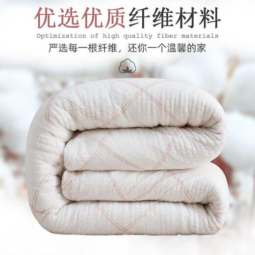 棉被垫被床垫棉被子冬天加厚学生宿舍棉花被芯春秋被褥棉胎被 2米* 2.2米 10 斤