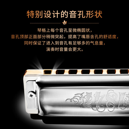 SEYDEL德国进口SEYDEL赛德 十孔10蓝调成人口琴 1847 CLASSIC 10孔LE调