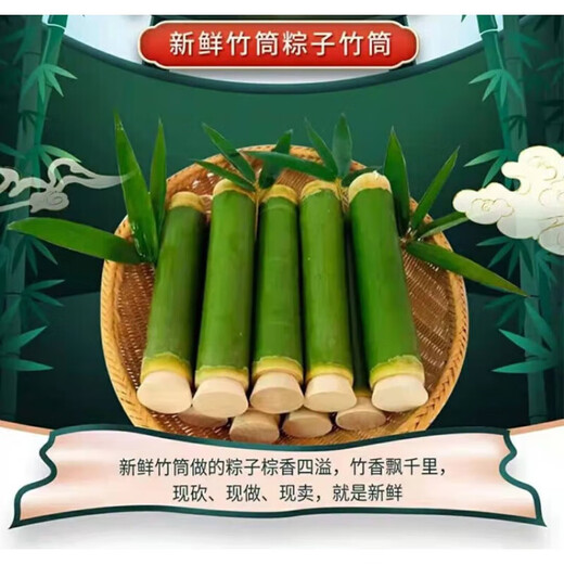 囤柒天然竹筒粽子模具家用劈开的商用摆摊专用新鲜神器竹子竹桶饭蒸筒 内径2629cm10个装宋套配件