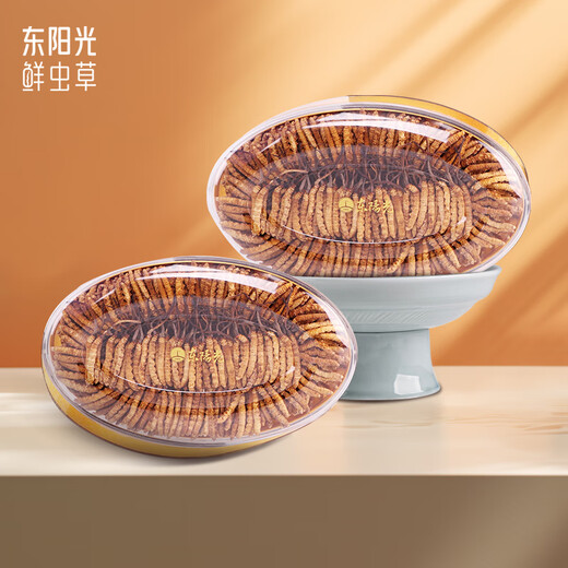 Dongguangguang Cordyceps 3-4 Wurzeln/g Bio-Cordyceps, nährende Geschenkbox, Nahrungsergänzungsmittel für Älteste und Eltern, 75 g Business-Geschenkbox aus Massivholz