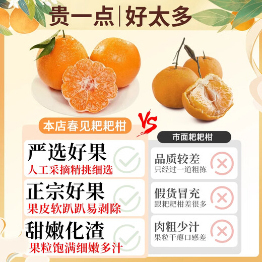 Tian Liangjis authentische Frühlings-Mandarine JD/SF – Lieferung am nächsten Tag an vielen Orten. Orange, Mandarine, Mandarine, nicht hässliche Mandarinenfrucht. 5 Jin Jin entspricht 0,5 kg. Farbkartonverpackung. 80 % der ausgewählten Personen sind super kostengünstig. Netto 4,5 Jin Jin entspricht 0,5 kg. Sehr zu empfehlen. Extra große Frucht. Einzelne Frucht 85–90 mm+