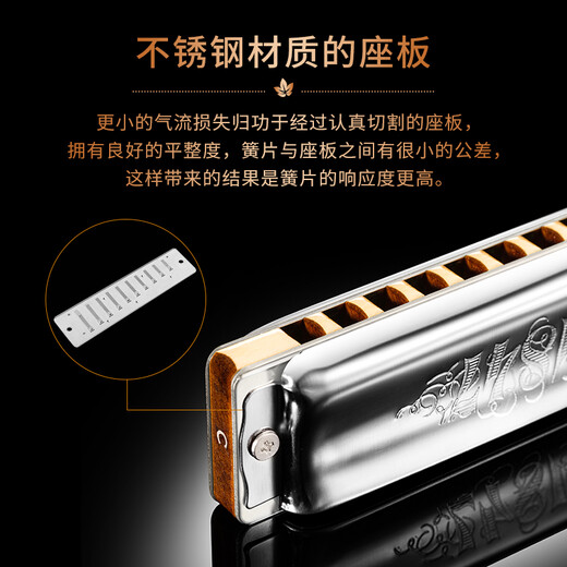SEYDEL德国进口SEYDEL赛德 十孔10蓝调成人口琴 1847 CLASSIC 10孔LE调