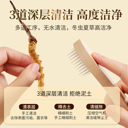 同仁堂品牌 北京同仁堂 冬虫夏草虫草约3根/g礼盒高端营养礼品送礼长辈 1盒 25g 【福满礼盒】约75根 约3根/克