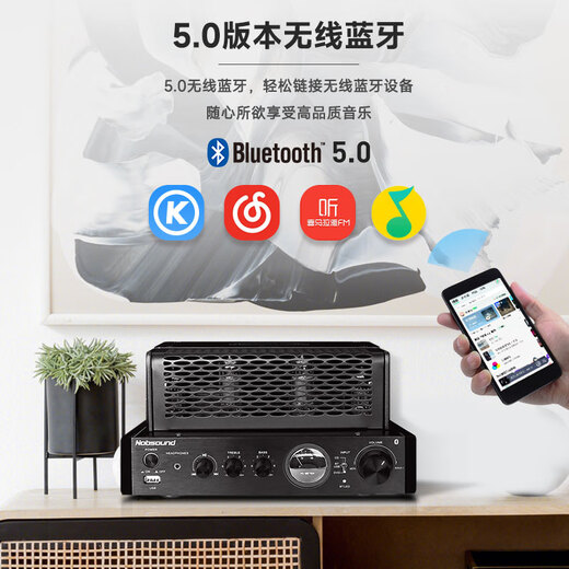 诺普声（Nobsound）蓝牙功放机 胆机电子放大器 HIFI组合音响音箱 家庭影院MS-30D家用HIFI功放 MS-30DMKII 蓝牙升级款