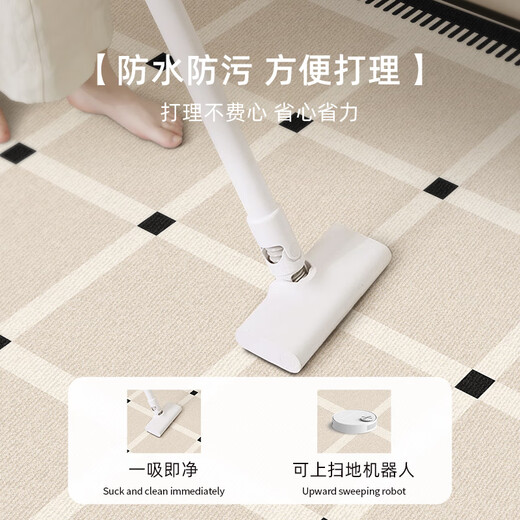 Y U-LIVE carpet living room bedroom 2025 new bedside no-wash and wipeable room high-end waterproof no-care sofa floor mat loop pile-Black Square Park-breathable style 200 300cm light and easy to carry and easy to store