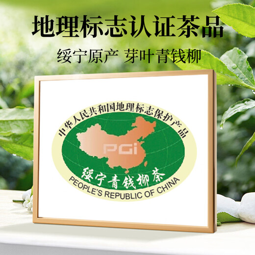 神农金康 青钱柳茶叶【绿色食品】 金钱柳嫩叶 深山老树嫩叶 养生茶