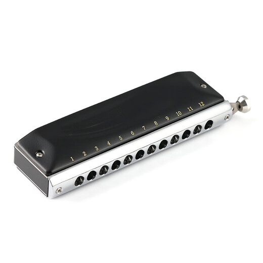 JDR JDR chromatic harmonica 12-hole C key GM-0648 imported gongs for beginners and professional players - matte black