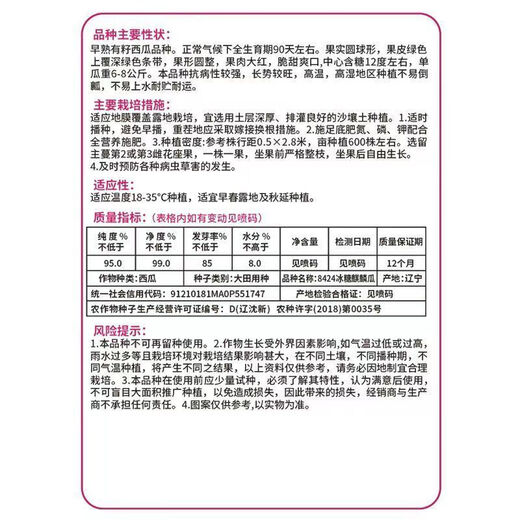 Big and sweet 8424 Kirin seeded watermelon seeds, extra large four-season vegetable and fruit seeds, original, about 250 pieces, affordable 989# rock sugar Kirin 8424 watermelon seeds