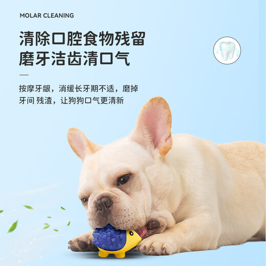宜特（EETOYS）小号刺猬狗狗玩具趣味发声互动泰迪金毛陪伴解闷防拆家宠物用品