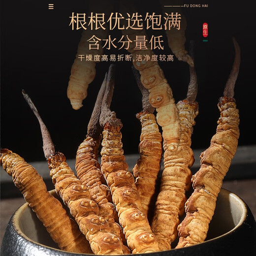Fudonghai Cordyceps sinensis 10G Geschenkbox [bevorzugte Feinprodukte] Geschenke hoch und gefriergetrocknetes hochreines und ungebrochenes Gras