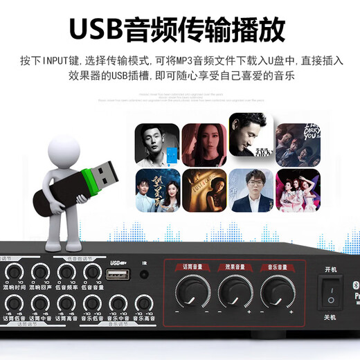 MICGRS professional pre-amp effector with wireless microphone engineering box conference home ktv singing amplifier 5.1 amplifier home theater anti-howling equalization adjustment audio processing EX20M