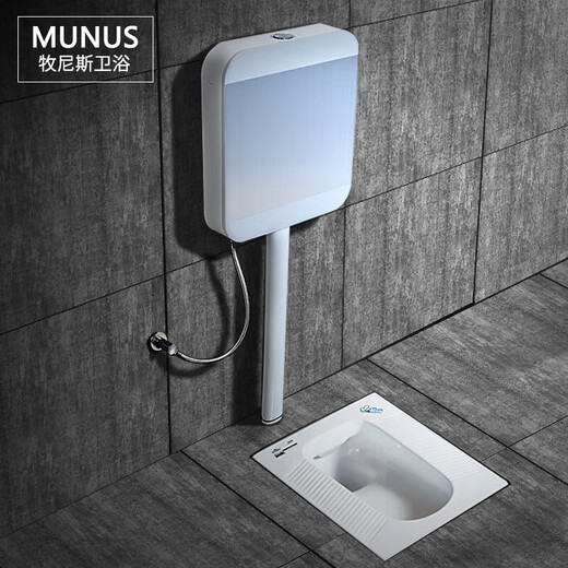 Comfortable Eagle brand household flush tank set, ceramic squat toilet, anti-clogging, silent and odor-proof, complete set of squat toilet, luxury low-key brushed silver A with trap front drainage