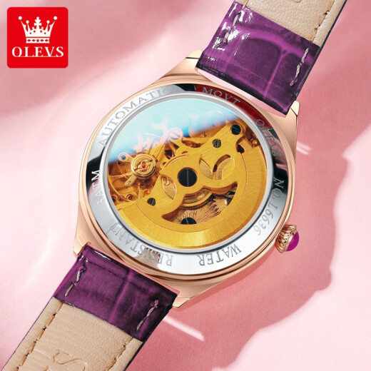 
OLEVS Swiss certified brand watches for women mechanical watches fully automatic simple temperament women's watches luminous waterproof women's watches OLEVS-6636-Purple leather rose shell powder