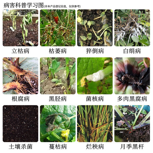 30% metalaxalin soil disinfectant and fungicide, rice blight, cucumber root rot, verticillium wilt, Youli Shuangying-1000g*12 pieces
